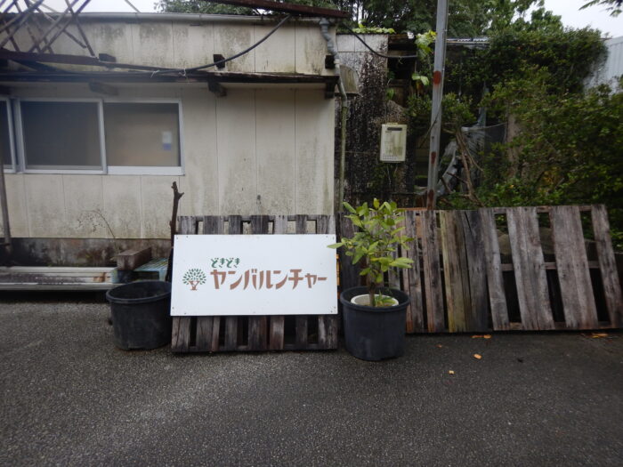 ヤンバルンチャー名護店